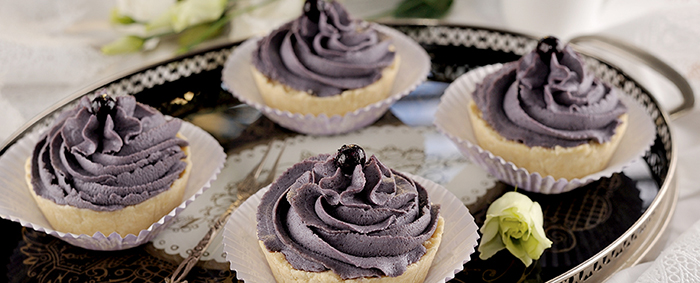 Raw-Blueberry-Coconut-Cupcakes-700x283