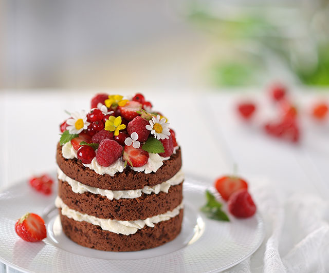 Schoko-Beeren-Naked-Cake